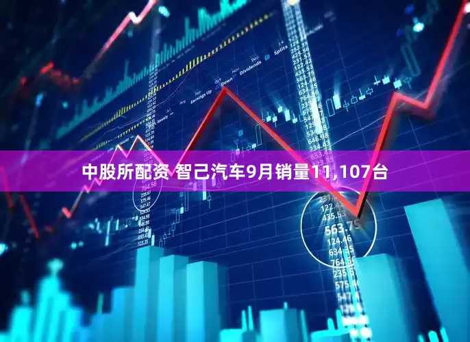 中股所配资 智己汽车9月销量11,107台
