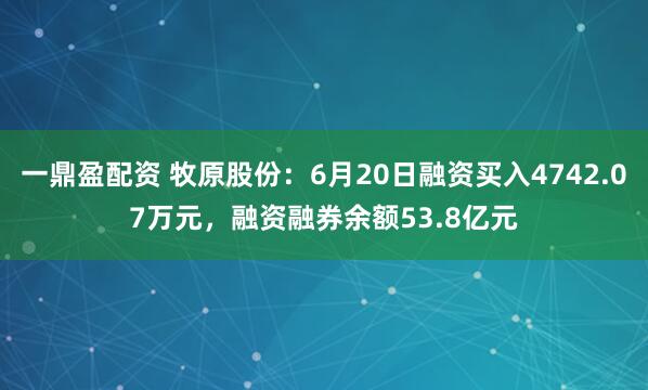 一鼎盈配资 牧原股份：6月20日融资买入4742.07万元，融资融券余额53.8亿元