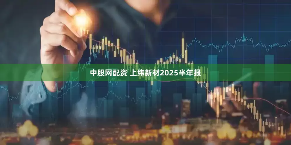 中股网配资 上纬新材2025半年报